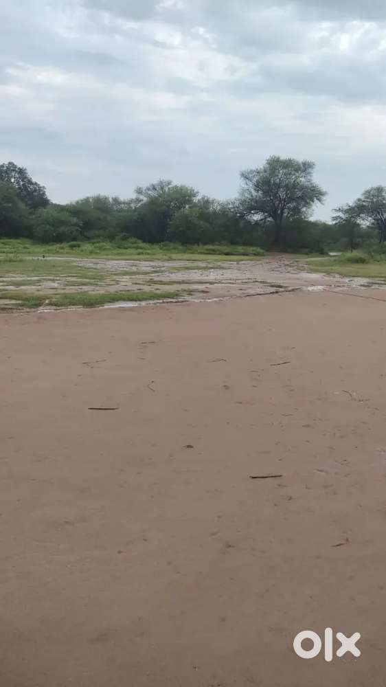 Urgently  Sale of My Plot , 107 gaj, kurali Bypass.