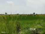 Mai apna khete bechna chata hu