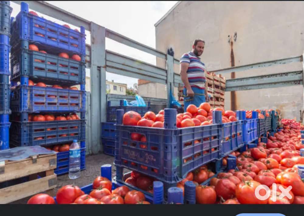 Loading/unloading work/ any other work in home /office/godown