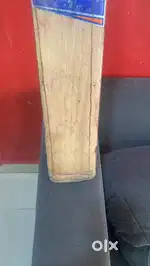 English willow cricket bat