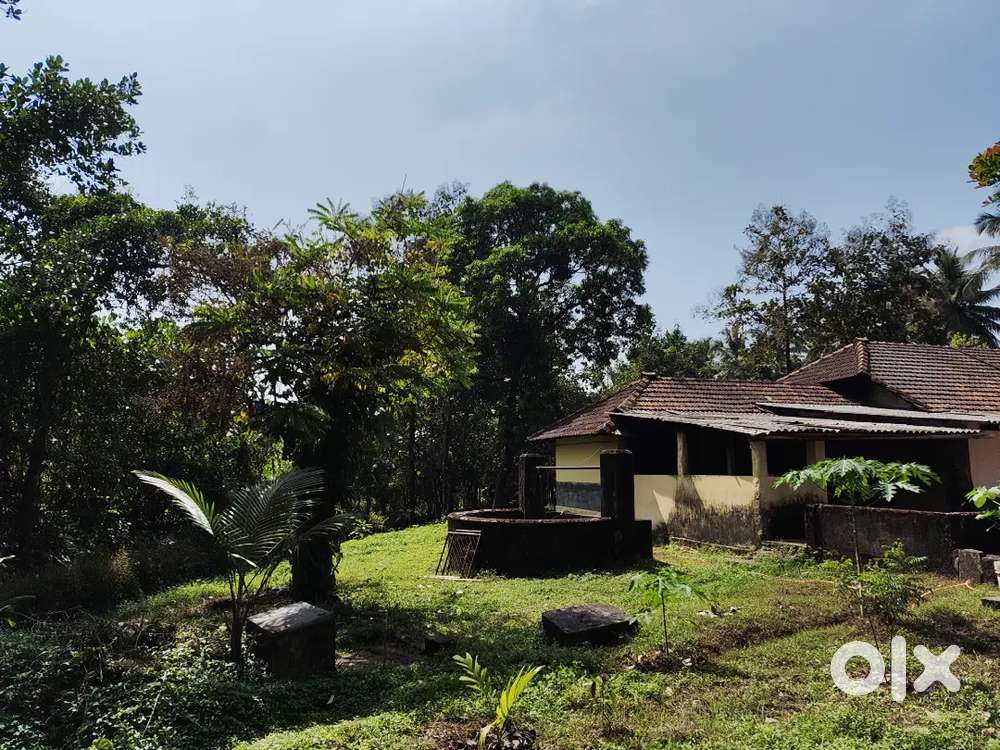 One acre 15 cents near nitte dupada katte