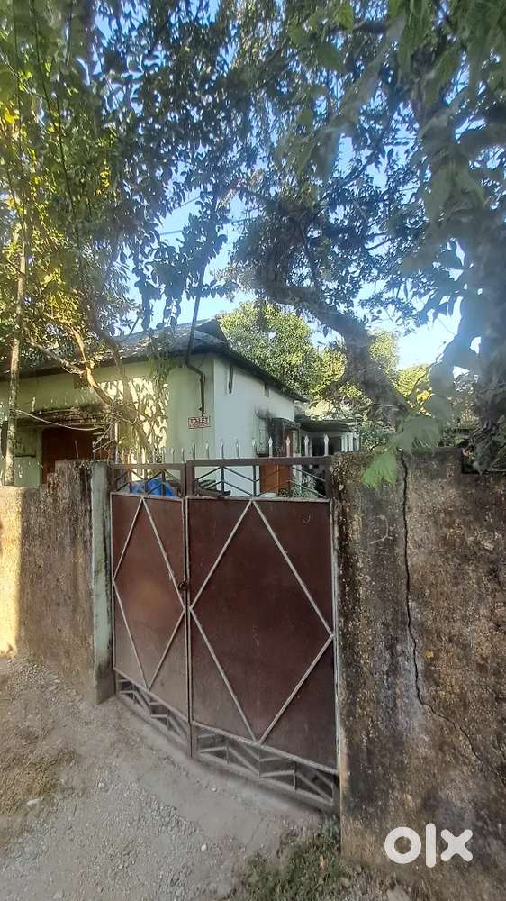 Different rooms in Shivmandir for rent