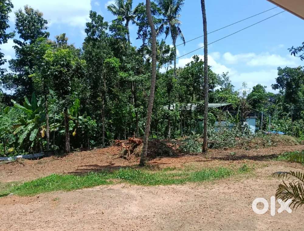 10 cent land for sale