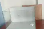 Fish tank is for sale
