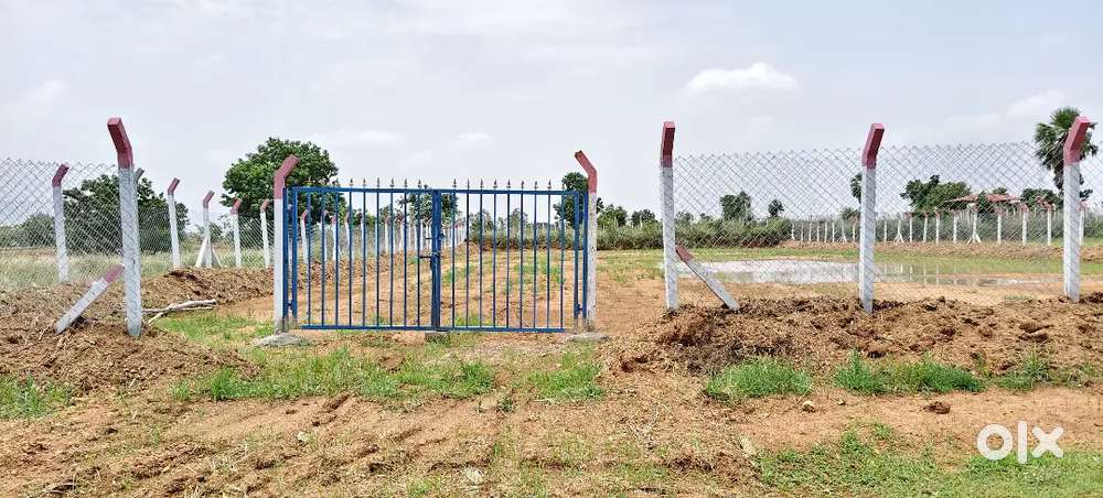 DTCP layout 100 sqyards 6 lakhs shadnagar from 16km chinchod village