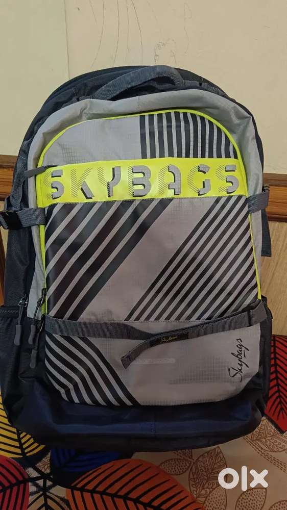 Skybags laptop bagpack