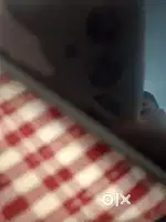 Rent house