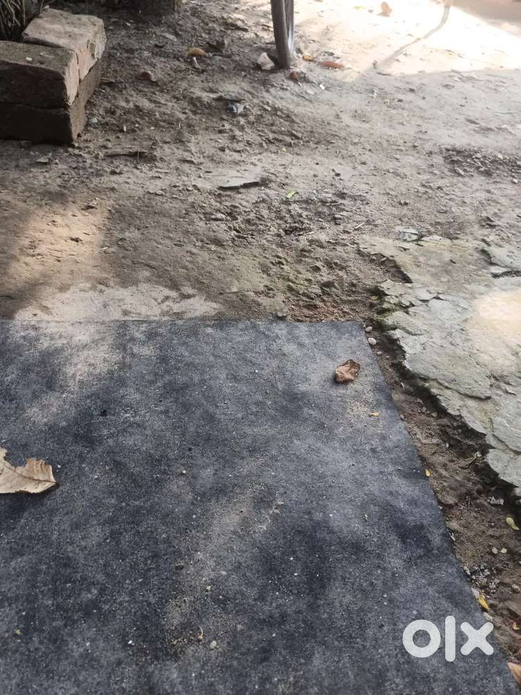 Sale my land + house