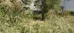 5 CENT PRIME RESIDENTIAL PLOT FOR SALE DPI NEAR VAZHUTHACAUD
