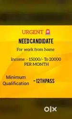 Work From Home oppurtinity