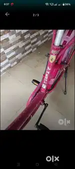 Hero ladyes cycle