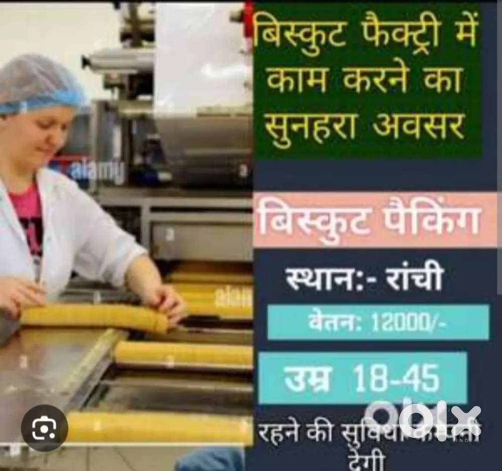 Biscuit factory packing job