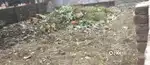 মণ্ডল পাড়ায় 2 কাঁটা থেকে 1 ছোটাক কম জমি বিক্রি।