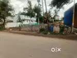 Totally 30 cent for rent