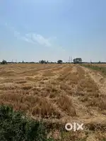 Land in khalaur pind Changera pind, Mohikalan pind, Nanhera pind