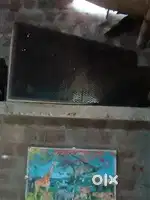 Speaker ko bechna hai jise bhi kharidna ho whatsapp kare