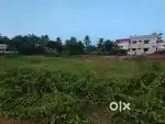 4.3 cents land for sale near Guddekopla