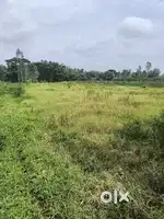 Agriculture land