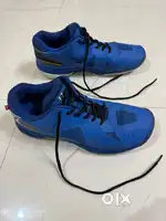 FZ Forza Badminton Shoes