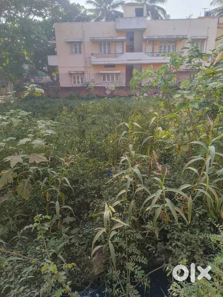 Residentel plot sale yalaki shettar colony