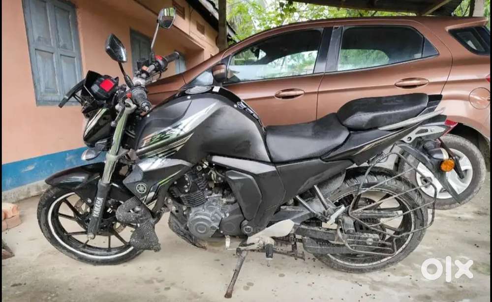 FZS - Monthly service done