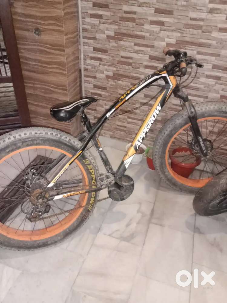 21 gear fat bike