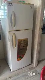 Lg fridge with a capacity of 250L