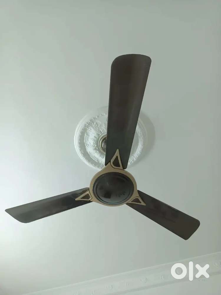Crompton Anti dust fan