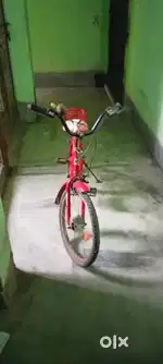 Gora cycle