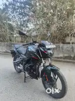 Pulsar p150 excellent condition bike