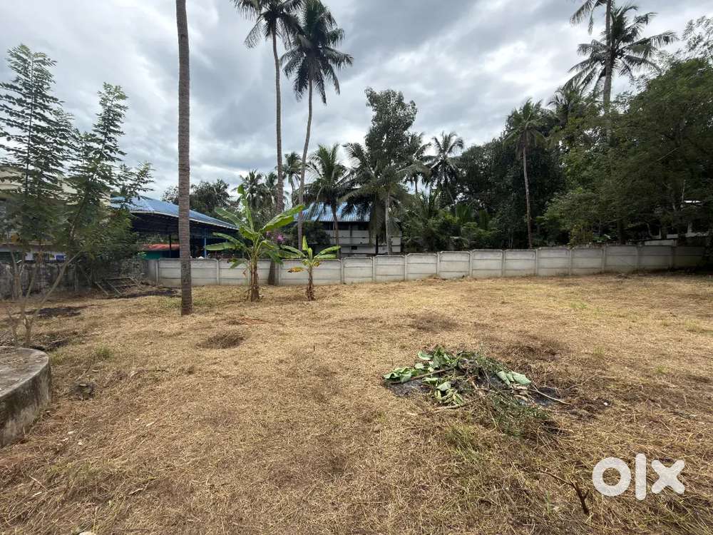 10.5 സെന്റ് സ്ഥാലം