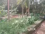ORGINAL LAND FOR SALE 18 CENT KIZHAKKAMBALAM  JUNCTION 700 MEETER