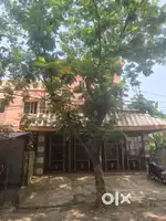 Rent house