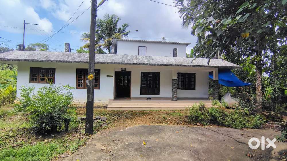 Poovanturutha po Kottayam