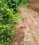 50 cent Land for sale Near Nedumkandam Town