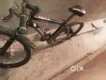Gang cycle