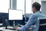Sales Professional