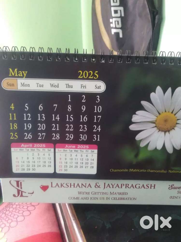 Hindi ; kannada classes including all the subjects r taken