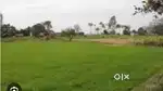 केनाल road par 5 बीघा जनरल