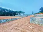 House plots 5,6,7 cent Manglapuram vavarambalam 500 mtr main road