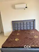 Studio flar for rent sector 115