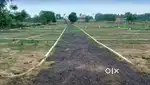 Patna se najadij