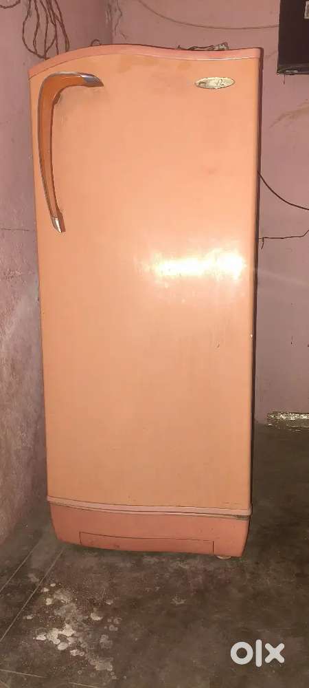 Goorej frize good condition