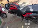 dominar 250 fancy number