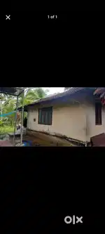 Palath theruvath thazham 3BHK house for sale.8 cnt plot ഓടിട്ട വീട്