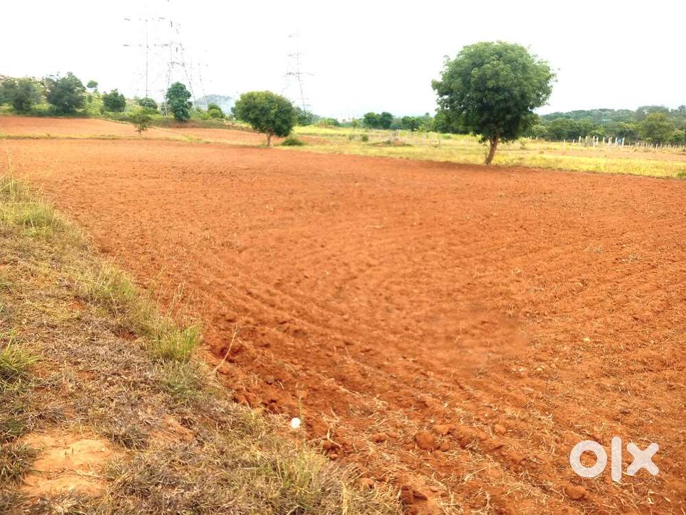 Agricultural land SALE SALE SALE