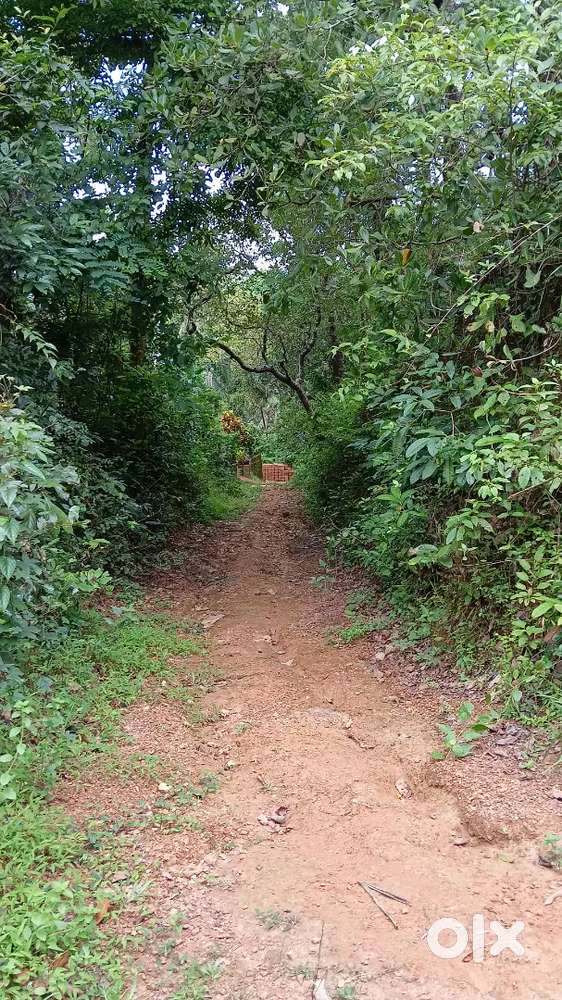 Land good for house, project