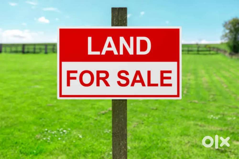 Plot for near vadamalpetta near to develop ing location