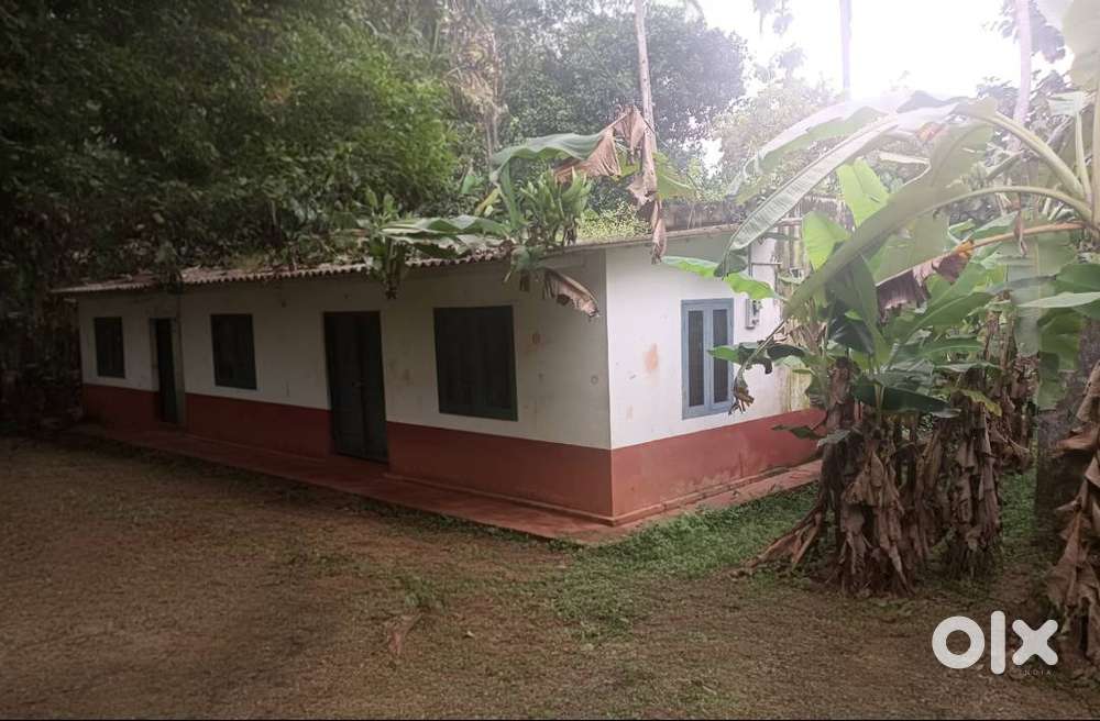 Mullathupara.തച്ചമ്പാറ മണ്ണാർക്കാട് പാലക്കാട്‌ highway