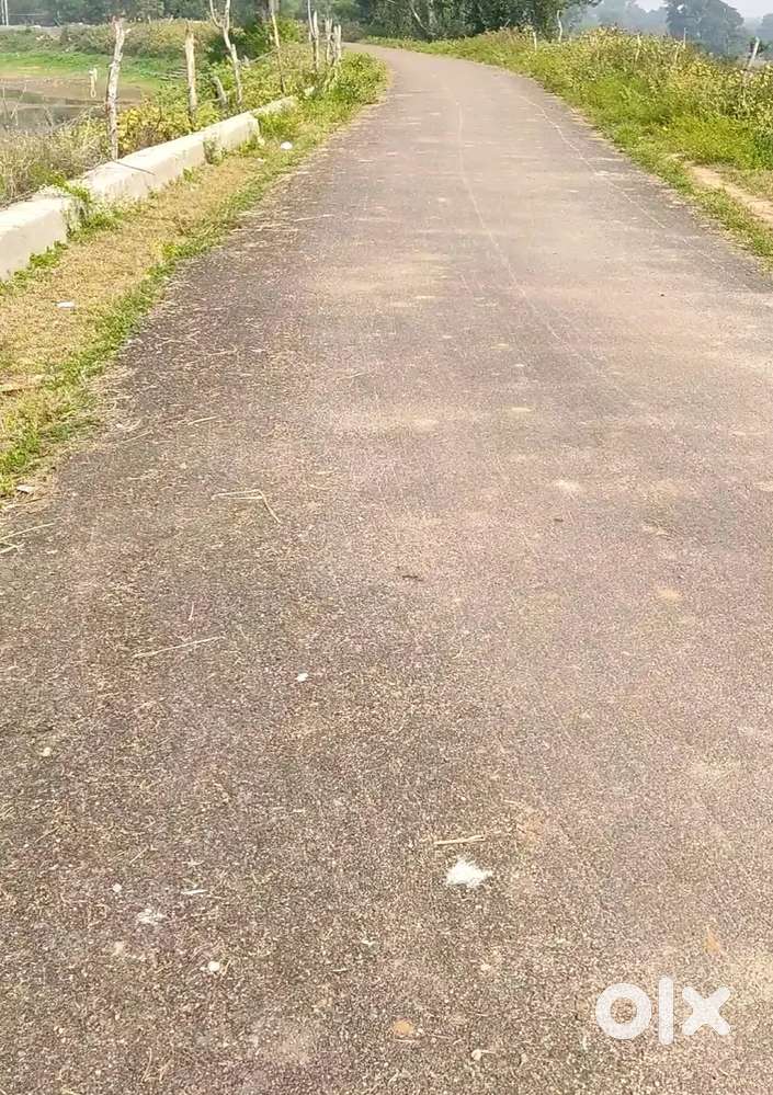 SC Categary ka zamin hai 2.50 akad